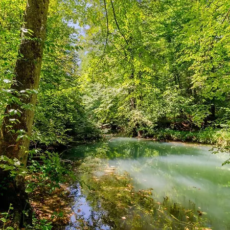 Forge Of Happiness With Pool - Happy *