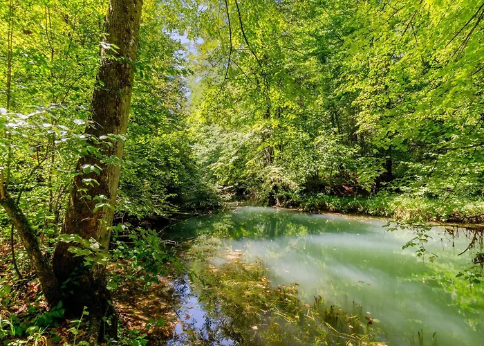 Forge Of Happiness With Pool - Happy *