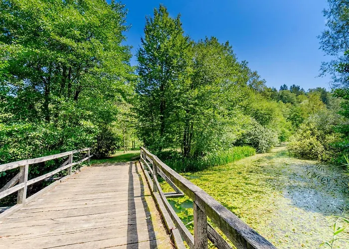 Forge Of Happiness With Pool - Happy * Gradac